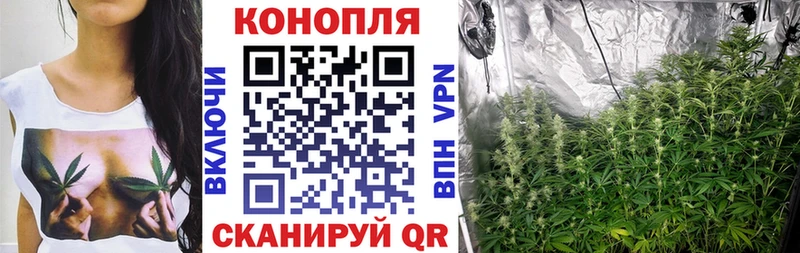 Марихуана Bruce Banner  Тосно 